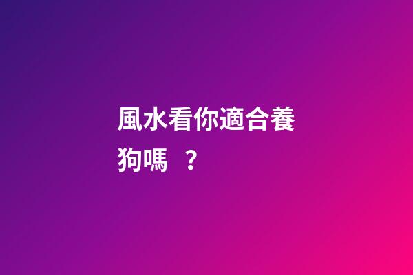 風水看你適合養狗嗎？